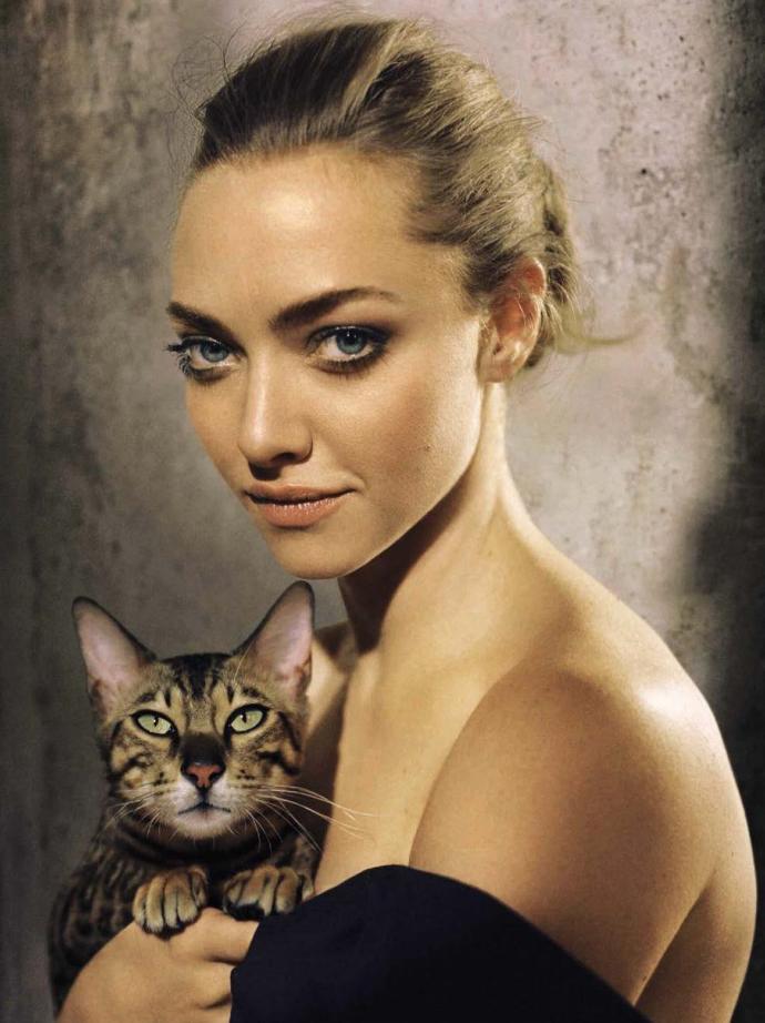 My Favorite Green Eyed Harlots