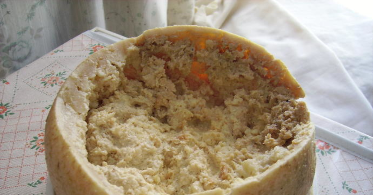 Would you eat a plate full of this maggot cheese for 5 Million