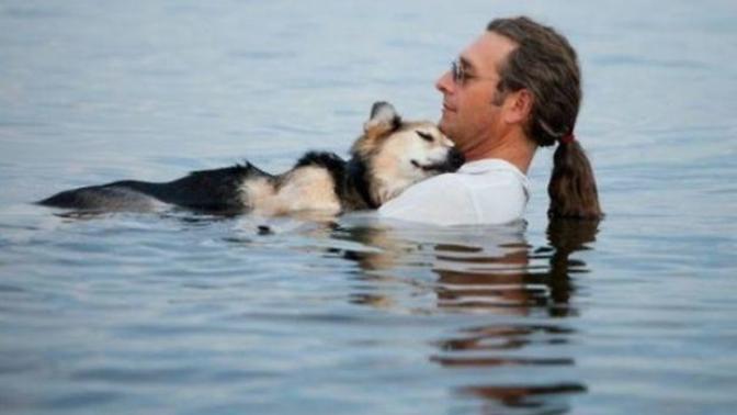 A Few Photos to Restore Your Faith in Humanity