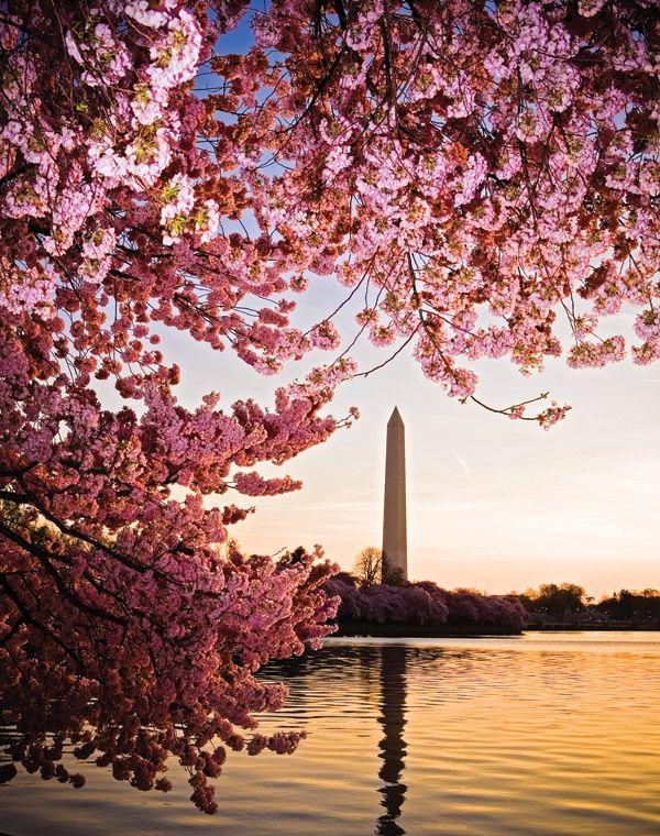 The Top 5 Most Fit & 5 Least Fit Cities In the U. S.