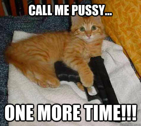 Your Life in Cat Memes