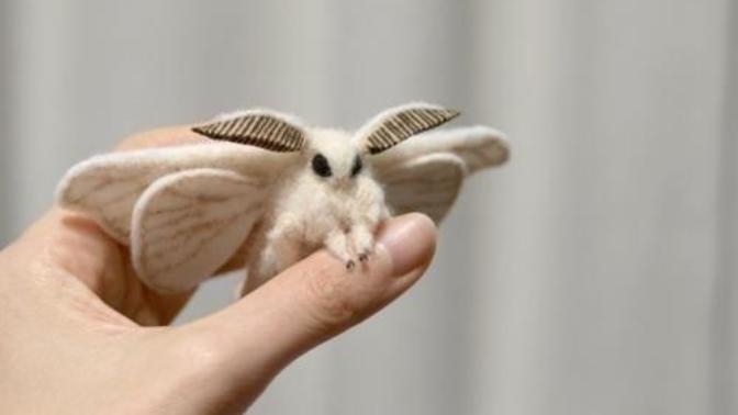 Animals That You Probably Didn't Know Existed