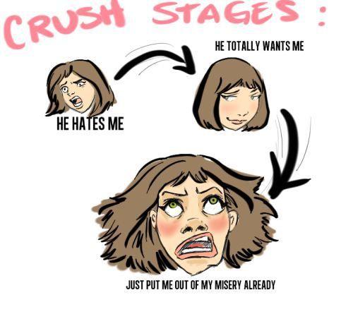 Having A Crush (Why must my hormones make me do this?!)