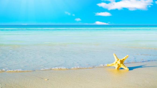 Summer has arrived! Read This Week's Top Question On Everything Summer