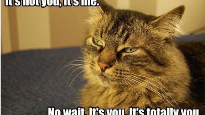It's Not You, It's Me - A Short Story About Break Up