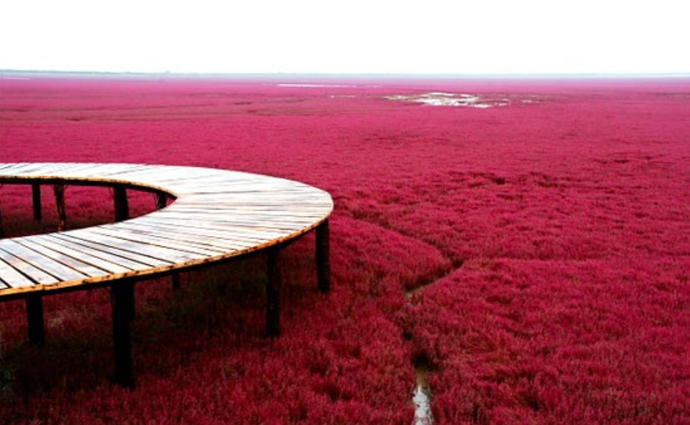 20 of the World's Strangest Places