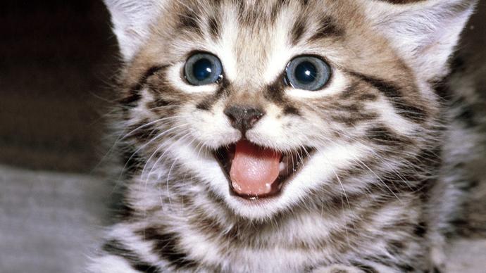 Just something to make you guys smile