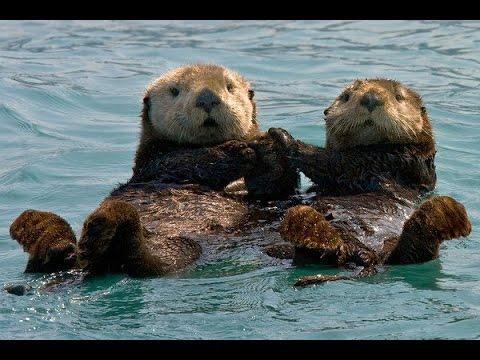 Just something to make you guys smile