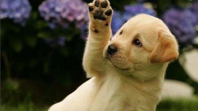 Just something to make you guys smile