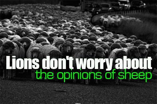 Ultimate guide on how not to care