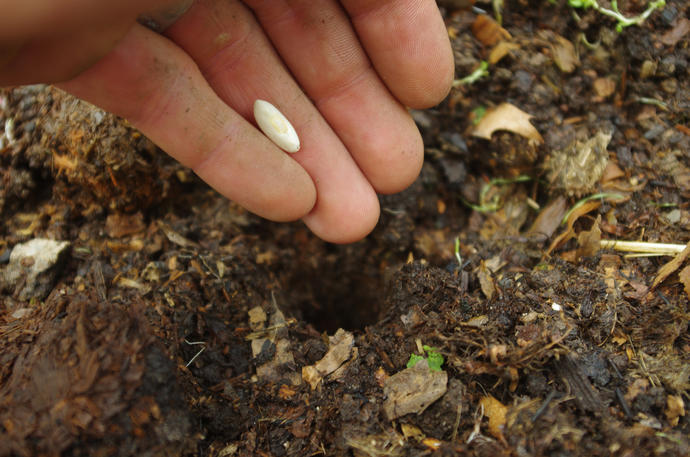 The Hardest Thing About Moving On.