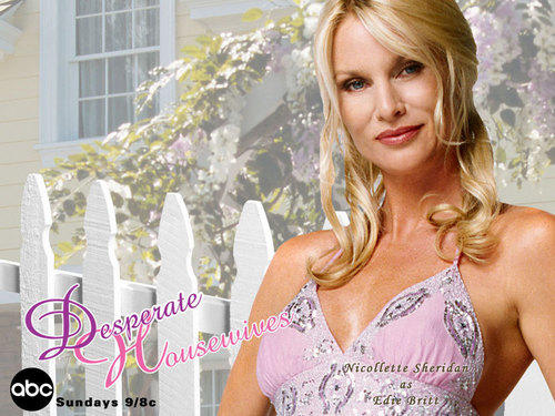 Desperate Housewives Women: Who Was Your Favorite Housewife?