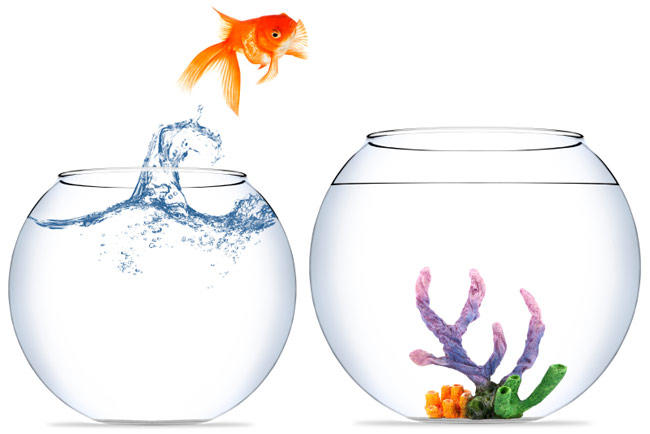 At what age do you really stop giving a care about things? (Motivational)