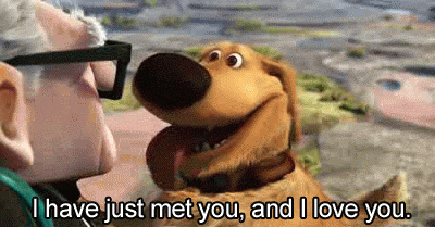12 things you're allowed to do ONLY when you are drunk