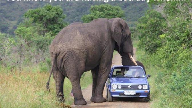 Having a bad day?