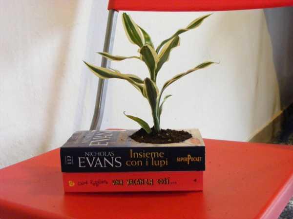 Some like to read and some not! For who doesn't these book ideas you'll like though!