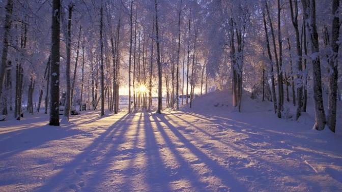 Why I Miss Winter
