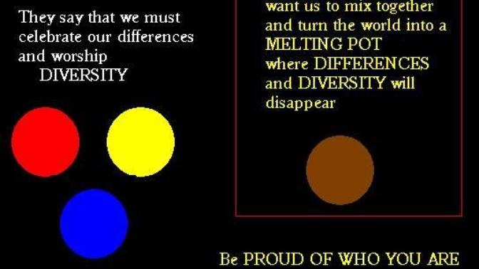 Diversity means difference, not sameness!