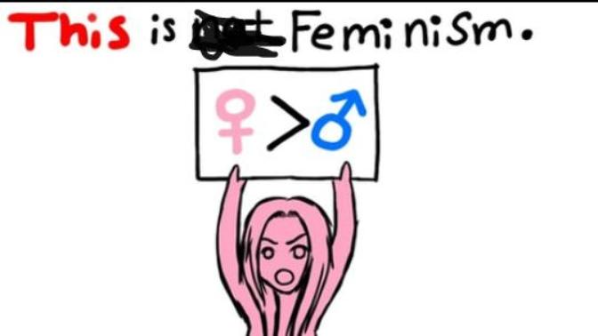 Feminism: Am I the only girl with this opinion?