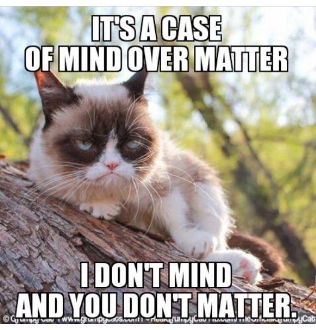 Mind Over Matter (Philosophical In-Depth)