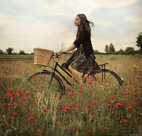A Few Brief Reasons for Bicycling!