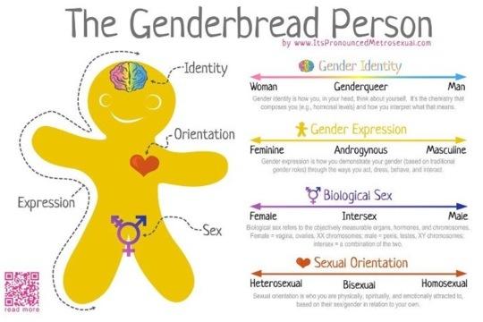Stop trying to tell people what their sexuality is