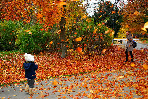 Autumn, The CHARismatic Way!