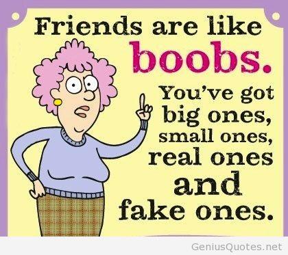 A friend without reproach