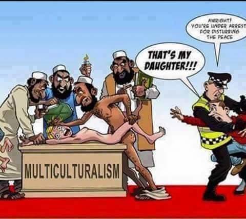 Merkel finally admits that pseudo-refugees will change Germany forever.
