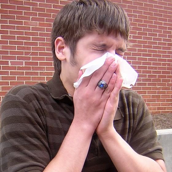 What I got to know about Germans! Not pretty stereotypical right?