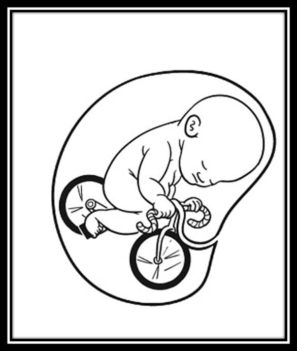 What I got to know about Germans! Not pretty stereotypical right?