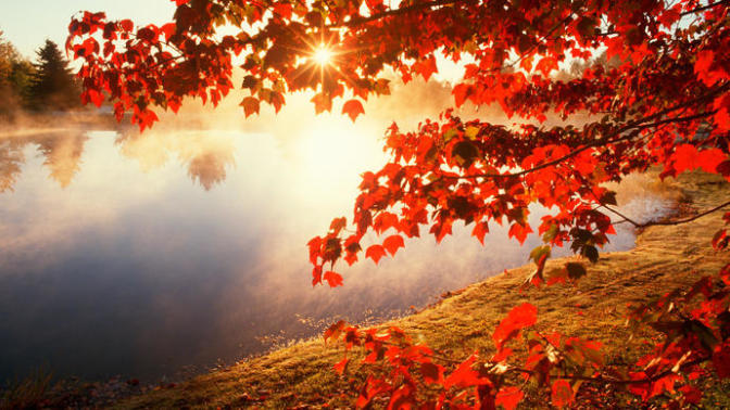 The autumn blues and how to fight it