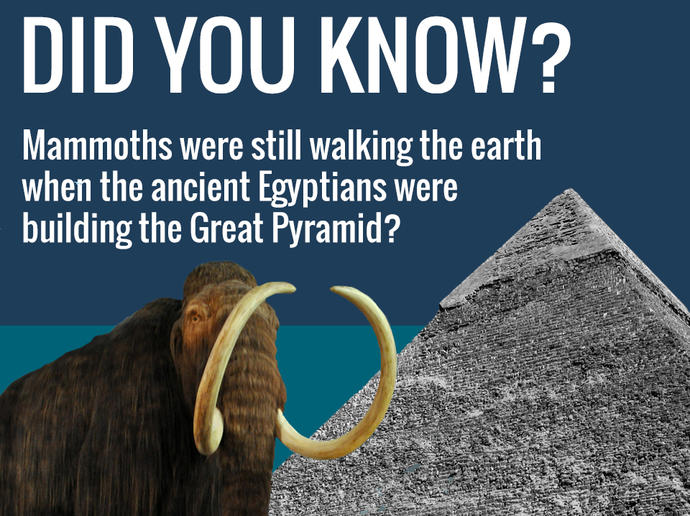 20 Mind-Blowing Facts