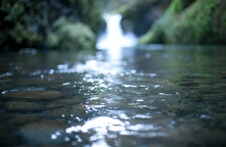 Water creates and sustains Life