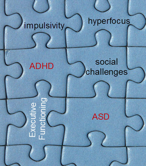 In the mind of a mixed mental disorder