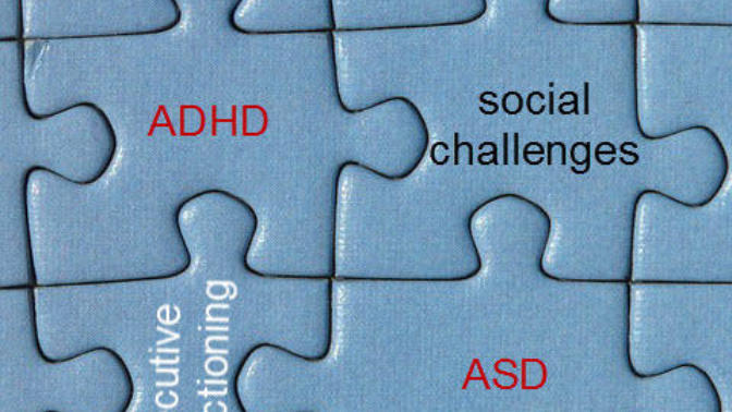 In the mind of a mixed mental disorder