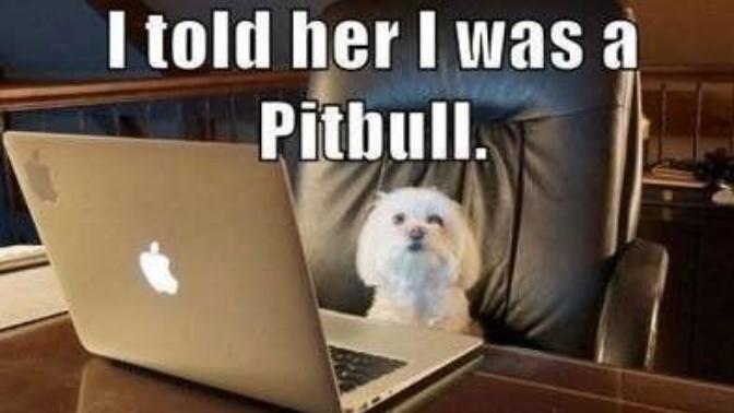 Online Dating Lines That Work (and ones that don't)