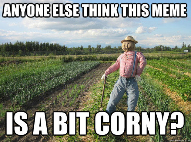 5 Reasons Corny People Annoy Me