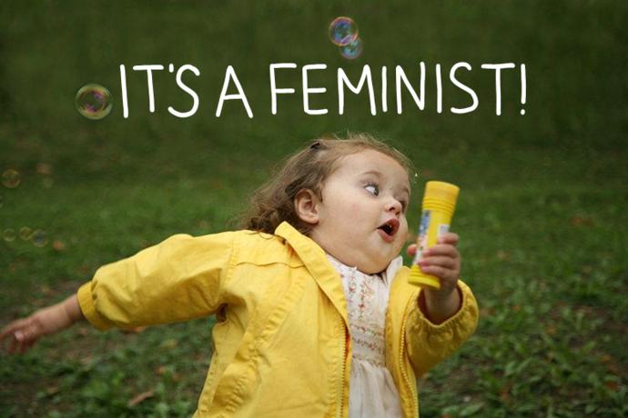 Feminists: They're not all the same.