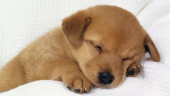 How to fight insomnia