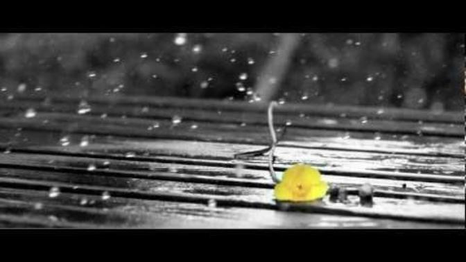 Bad mistakes smart people make