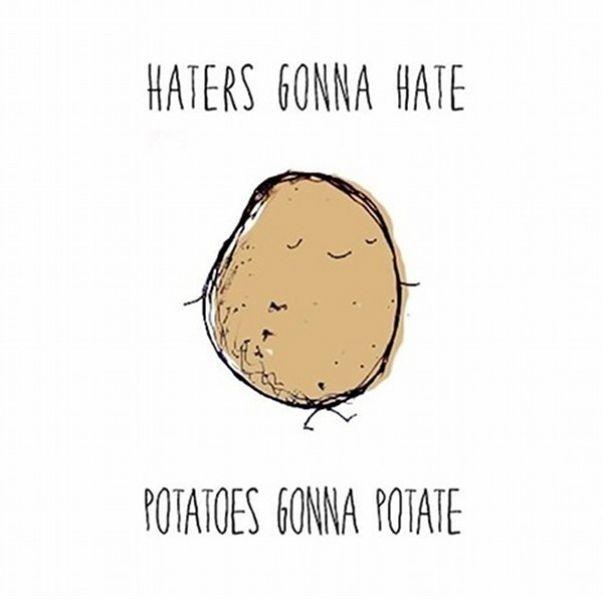 Stop the Bullies, Haters and the Trolls!