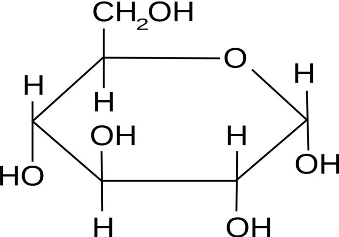 The Carb Controversy