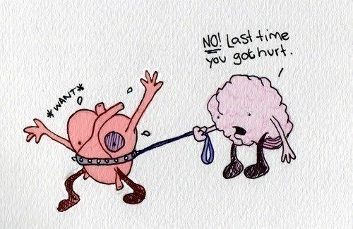 My Feelings For a Certain Guy