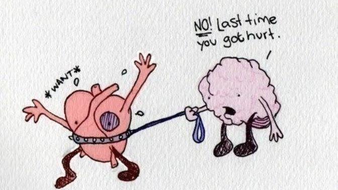 My Feelings For a Certain Guy