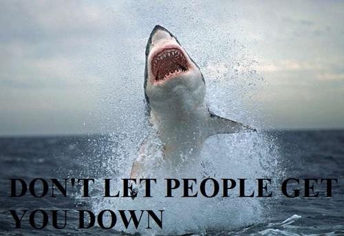 What Guys Look For In Women