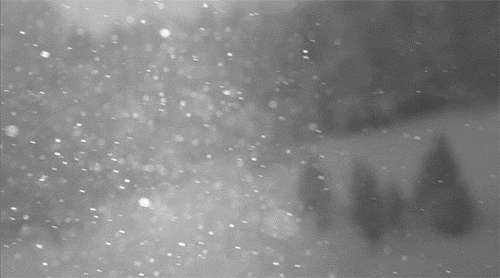 ****** SNOWY facts ******
