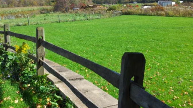 What's On The Other Side Of The Fence? (An Essay)