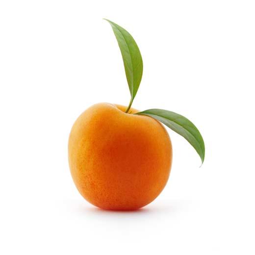 35 things you may not have known about FRUIT!! 🍒 🍅🌽🍇🍌🍋🍊🍉🍈🍍🍎🍏🍐🍌🍓