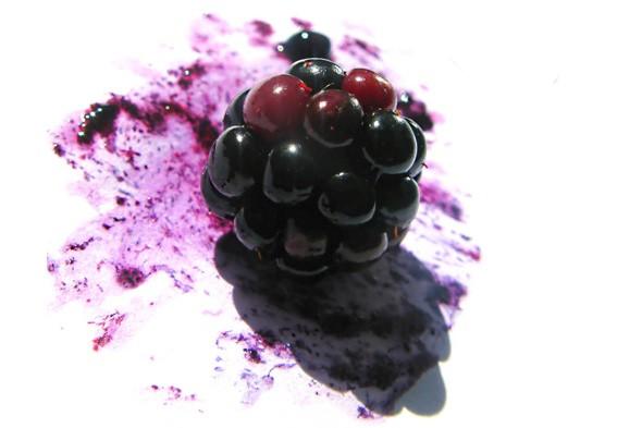 35 things you may not have known about FRUIT!! 🍒 🍅🌽🍇🍌🍋🍊🍉🍈🍍🍎🍏🍐🍌🍓